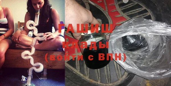 дмт Гусев