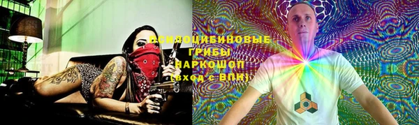 ПСИЛОЦИБИНОВЫЕ ГРИБЫ Гусиноозёрск