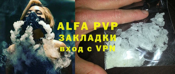 дмт Гусев