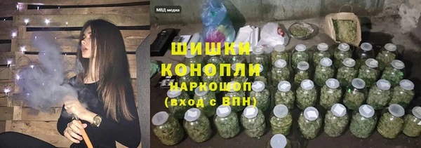 прущие грибы Гусь-Хрустальный