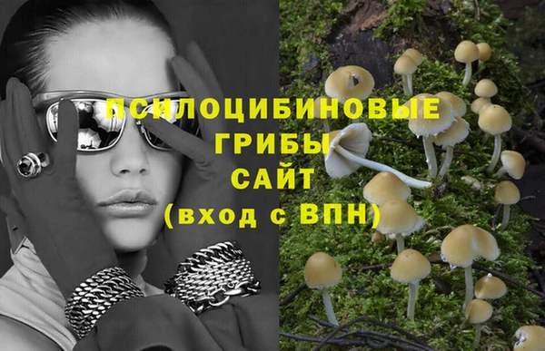 прущая мука Горно-Алтайск
