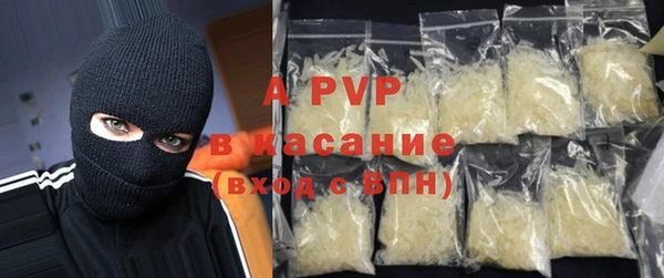 дмт Гусев