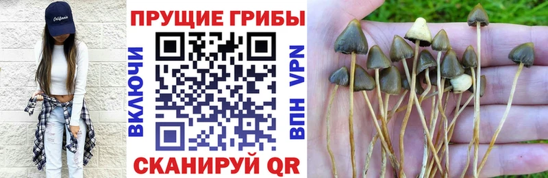 цена наркотик  дарк нет клад  Псилоцибиновые грибы ЛСД  Копейск 